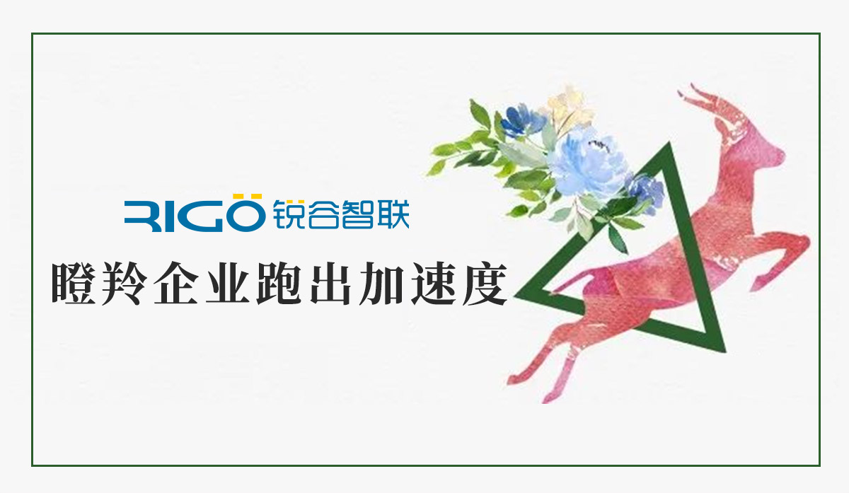 火炬高新區助力“瞪羚”企業跑出加速度，超半數分布廈門軟件園